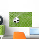 Soccer Ball Wall Mural