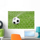 Soccer Ball Wall Mural