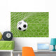 Soccer Ball Wall Mural