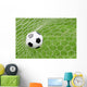 Soccer Ball Wall Mural