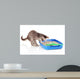 Small Gray Kitten Blue Wall Decal