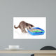 Small Gray Kitten Blue Wall Decal