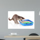 Small Gray Kitten Blue Wall Decal