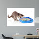Small Gray Kitten Blue Wall Decal