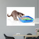 Small Gray Kitten Blue Wall Decal