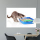 Small Gray Kitten Blue Wall Decal