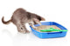 Small Gray Kitten Blue Wall Decal