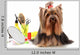 Yorkshire Terrier with Combs and Scissors Wall Decal