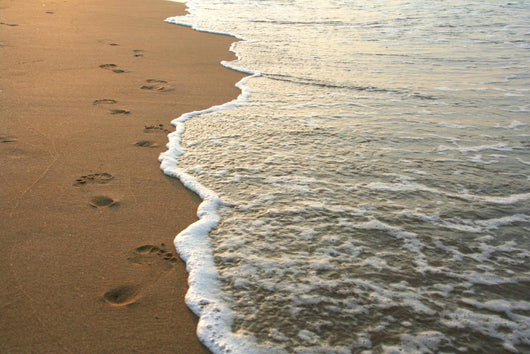 footprints on the beach Wall Mural