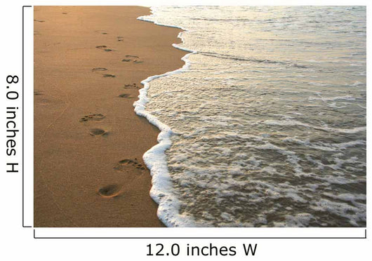 footprints on the beach Wall Mural