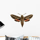 Hawkmoth Wall Decal