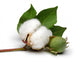 Cotton Wall Decal