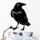 Crow