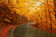 Autumn Landscape with Road