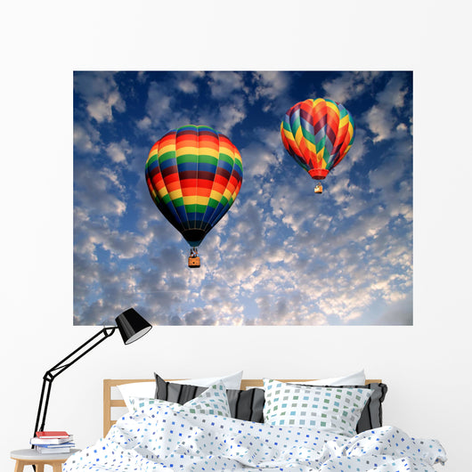 hot air balloons Wall Mural
