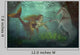 Freundschaft Wall Mural
