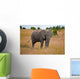 African Elephant Wall Mural