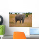 African Elephant Wall Mural