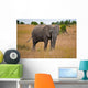 African Elephant Wall Mural