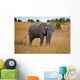 African Elephant Wall Mural