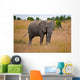 African Elephant Wall Mural