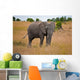 African Elephant Wall Mural