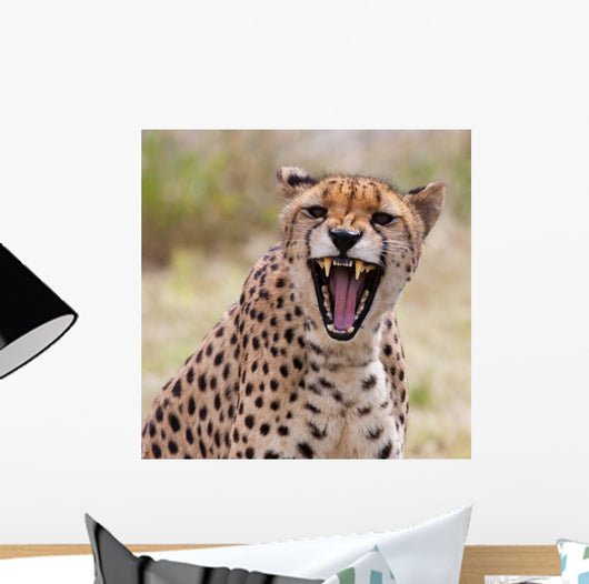 Cheetah 3
