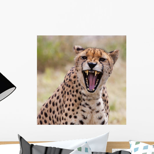 Cheetah 3