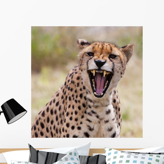 Cheetah 3