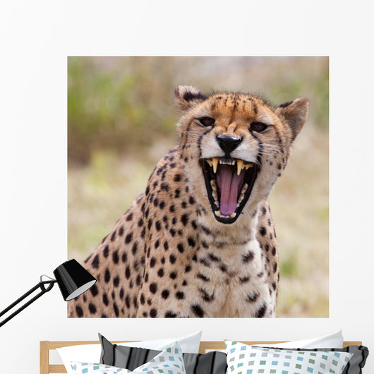 Cheetah 3