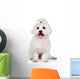 Beautiful white Bichon Maltese Wall Decal