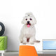 Beautiful white Bichon Maltese Wall Decal