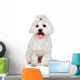 Beautiful white Bichon Maltese Wall Decal