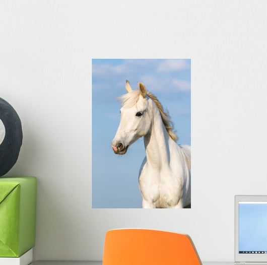 White Orlov Trotter Horse – Wallmonkeys