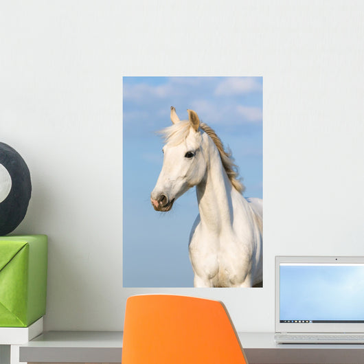 White Orlov Trotter Horse