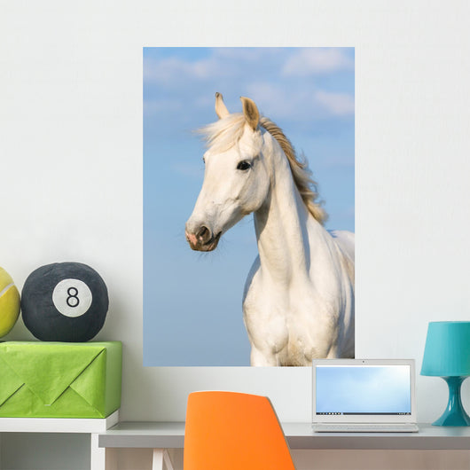 White Orlov Trotter Horse – Wallmonkeys