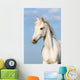 White Orlov Trotter Horse