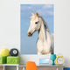 White Orlov Trotter Horse