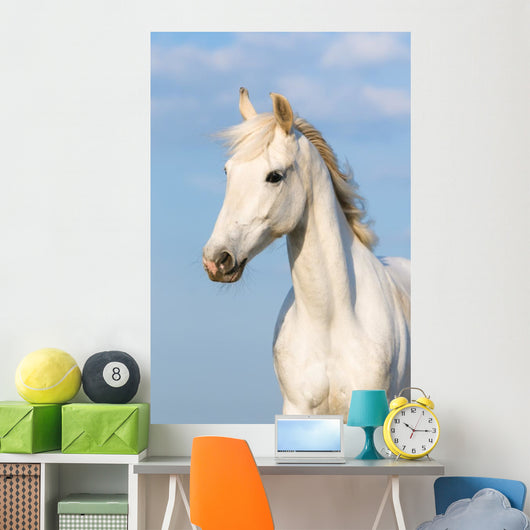 White Orlov Trotter Horse