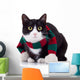 Black and White Cat