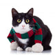 Black and White Cat