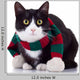 Black and White Cat
