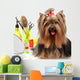 Yorkshire Terrier with Grooming Supplies Wall Decal