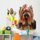Yorkshire Terrier with Grooming Supplies Wall Decal