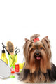 Yorkshire Terrier with Grooming Supplies Wall Decal