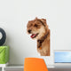 Cute Shaggy Pet Terrier Wall Mural