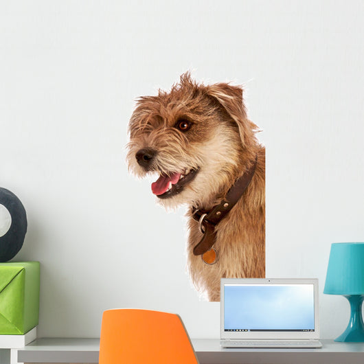 Cute Shaggy Pet Terrier Wall Mural
