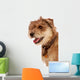 Cute Shaggy Pet Terrier Wall Mural