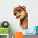 Cute Shaggy Pet Terrier Wall Mural