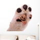 Dog Paw with Smile